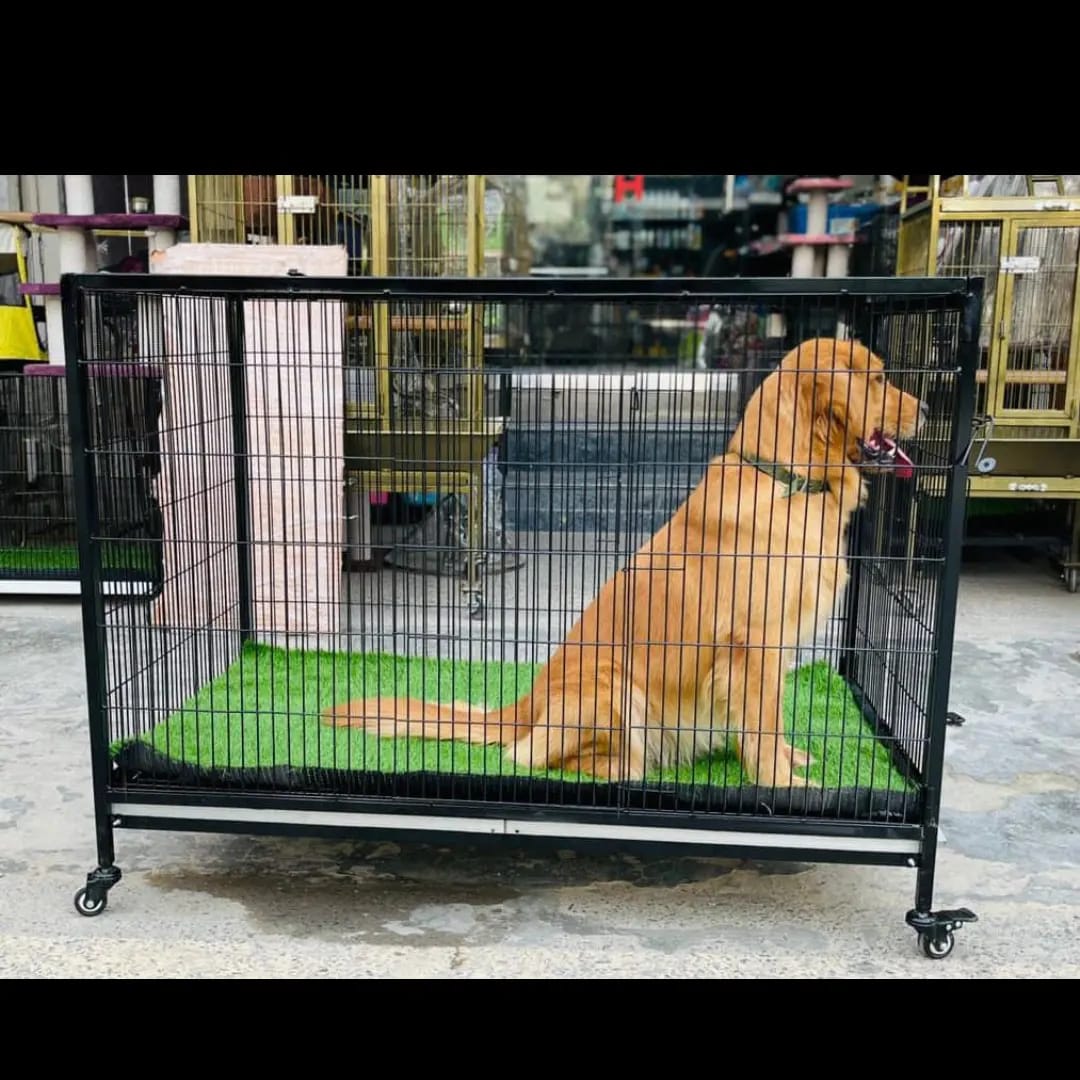 Dog Cage For Adult Dogs 4x2.5x2.5 with Carpet