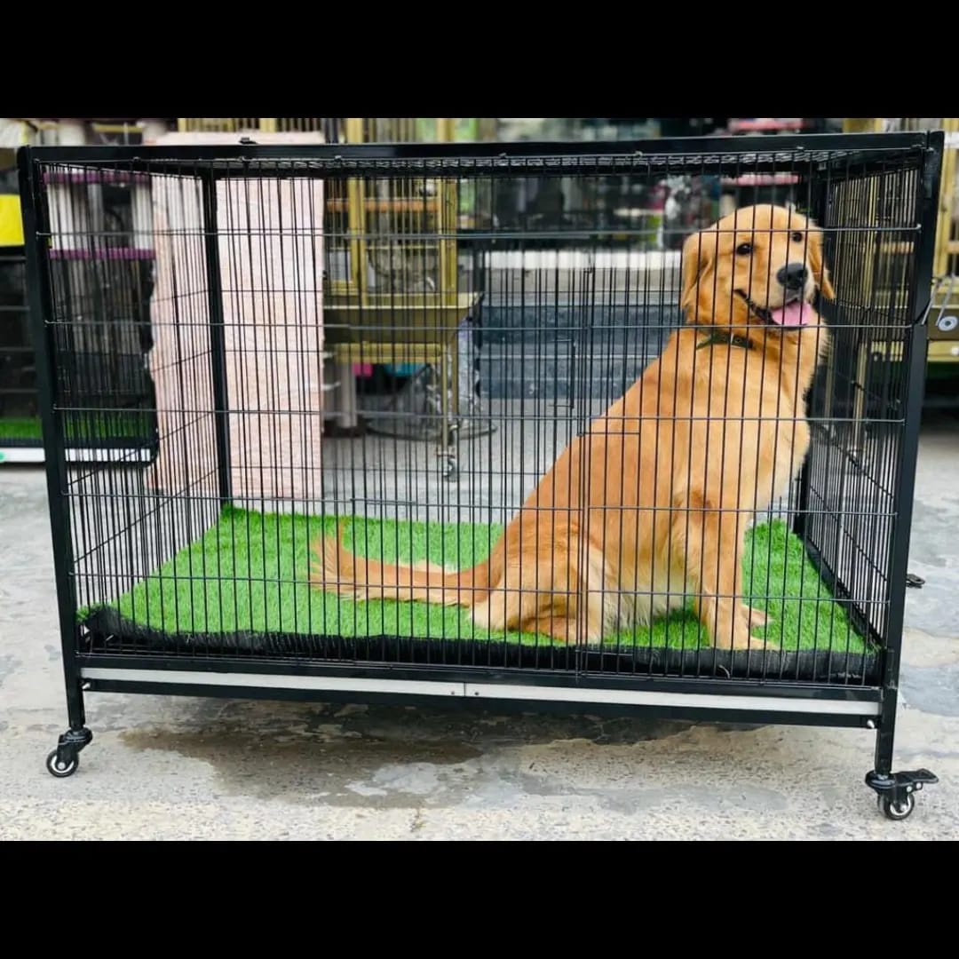 Dog Cage For Adult Dogs 4x2.5x2.5 with Carpet