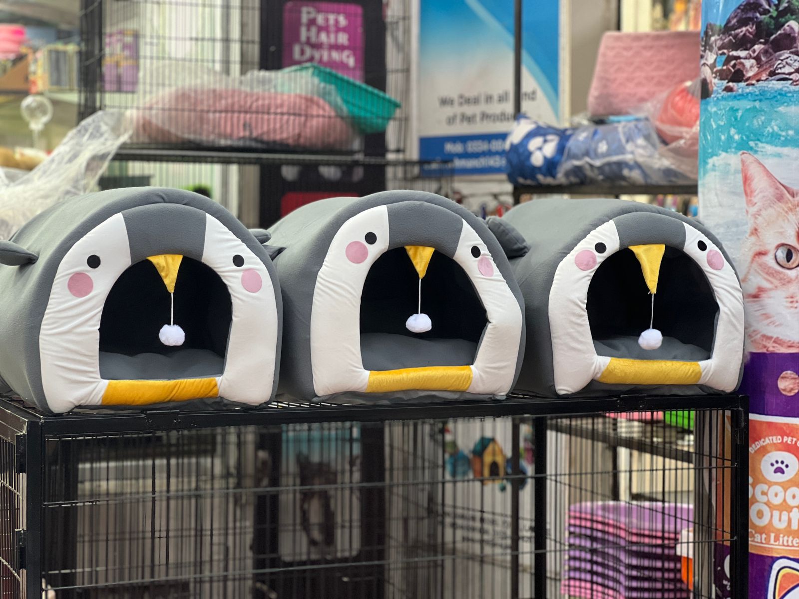 Cat House Penguin