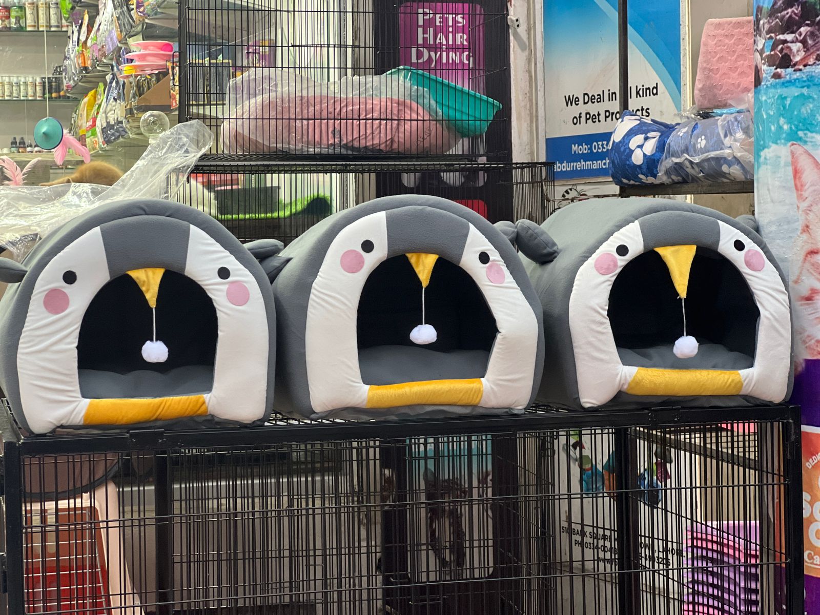 Cat House Penguin