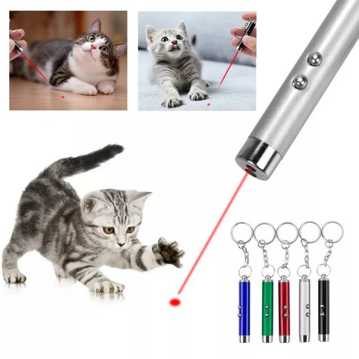 Cat Lazer Toy (AB 415)