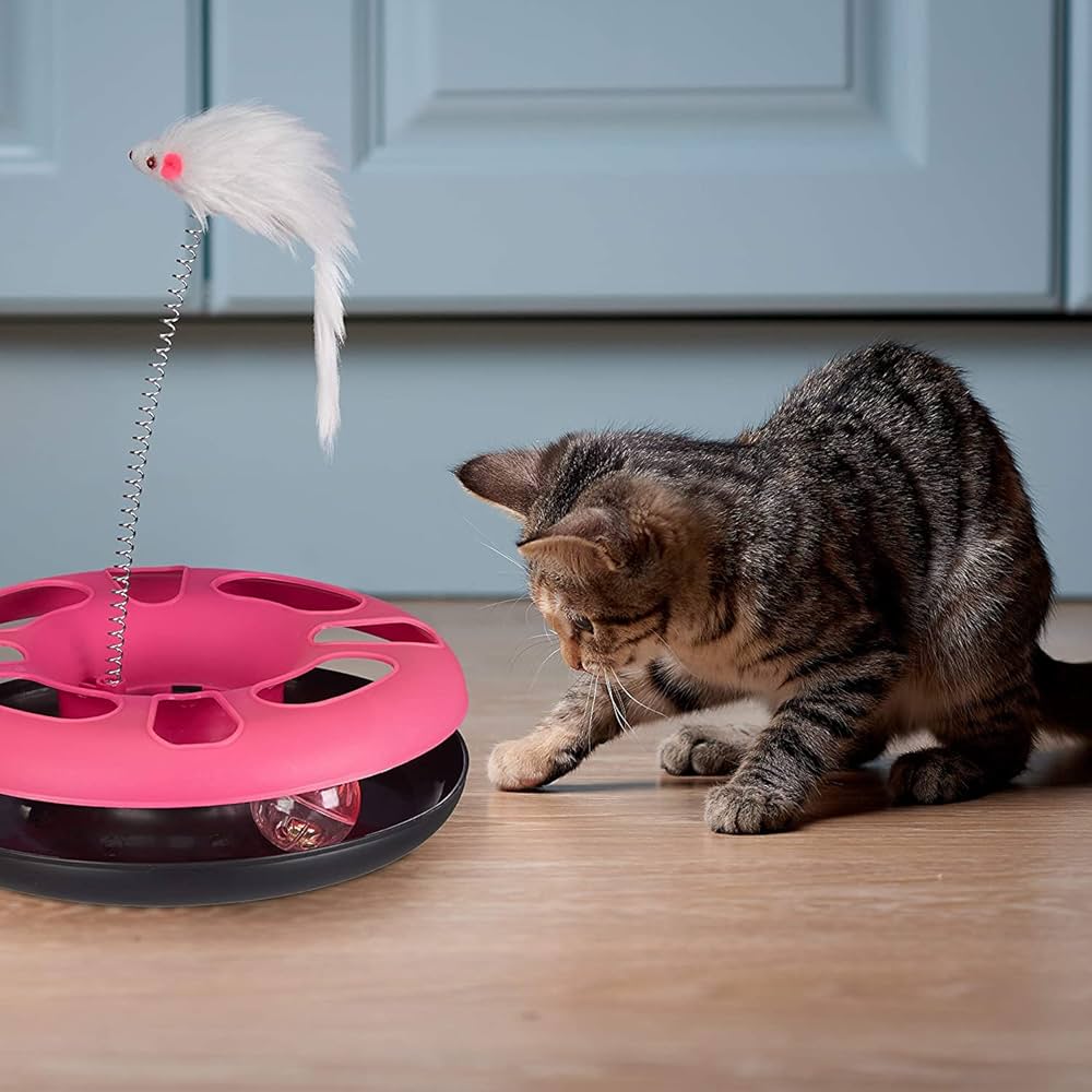 Cat Track Toy Round With Mouse