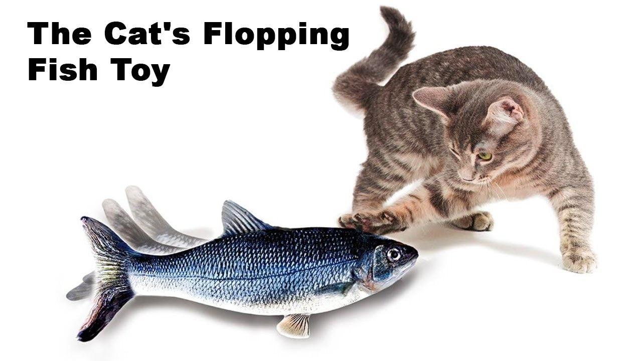 Fish Toy For Cats & Dogs With Catnip