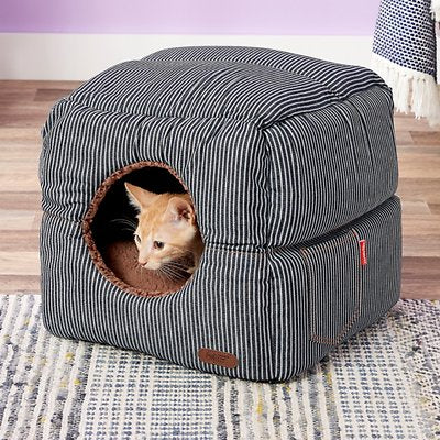 Cat House & bed for Cats & Puppies