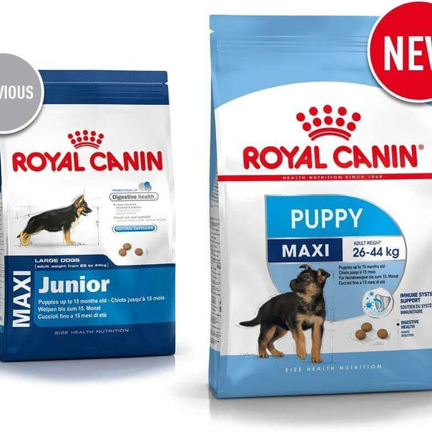 Royal Canin Maxi Puppy