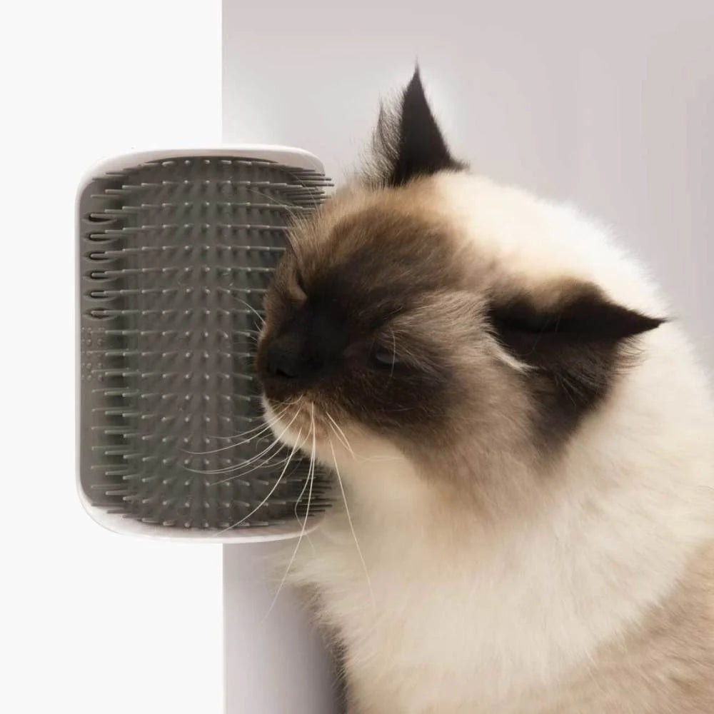 Cat Self Grooming Brush