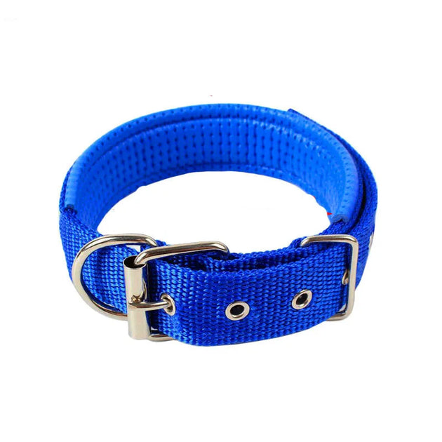 Dog Soft Collar