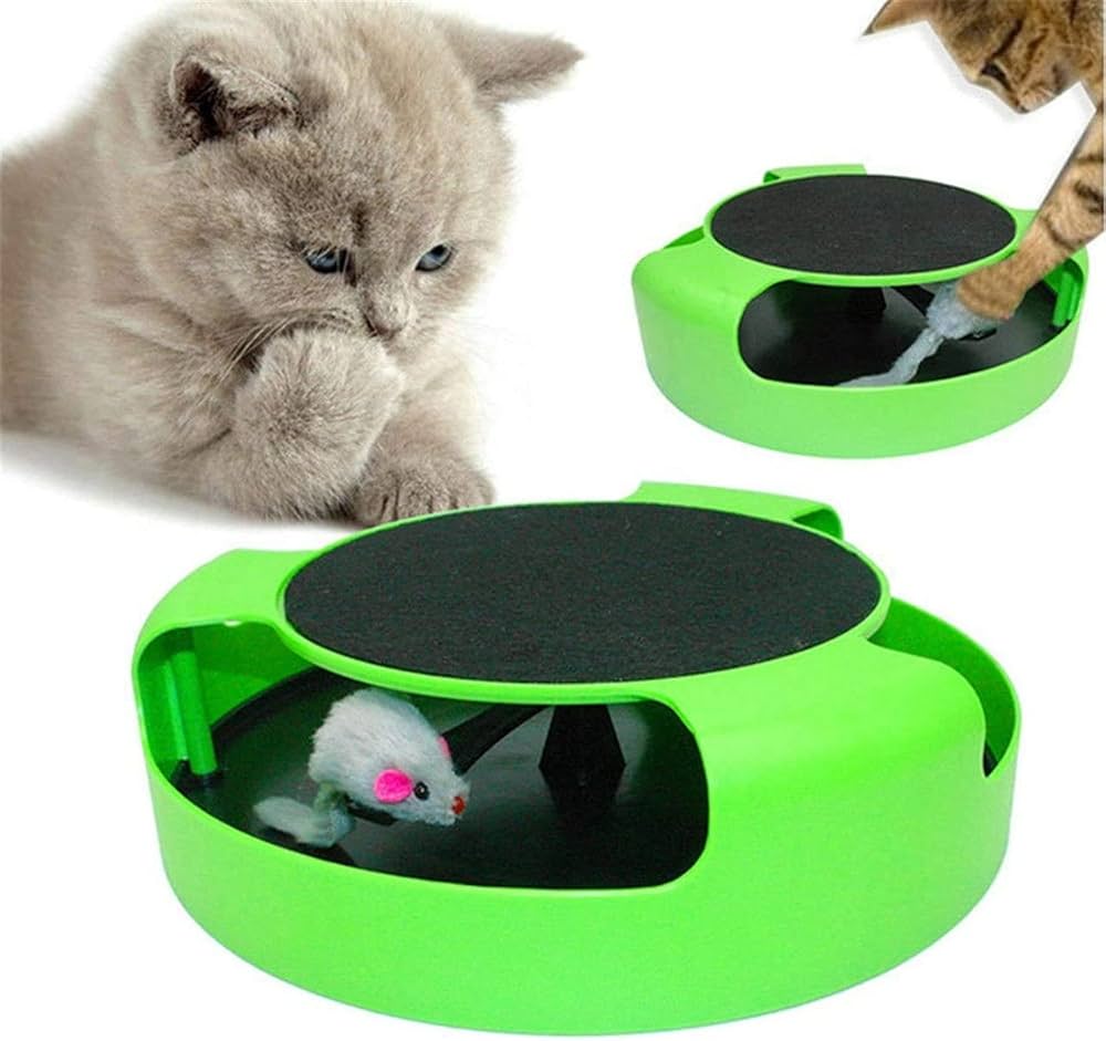 Cat Toy Catch the Mouse