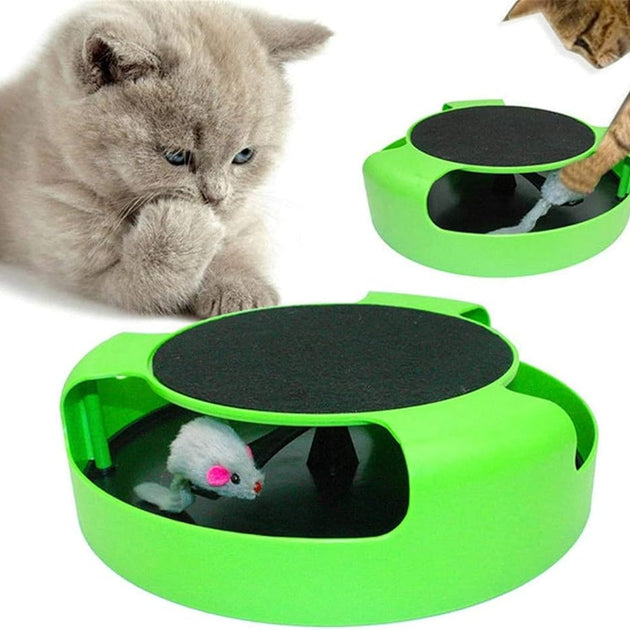 Cat Toy Catch the Mouse