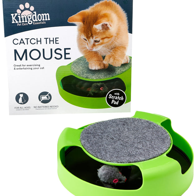 Cat Toy Catch the Mouse