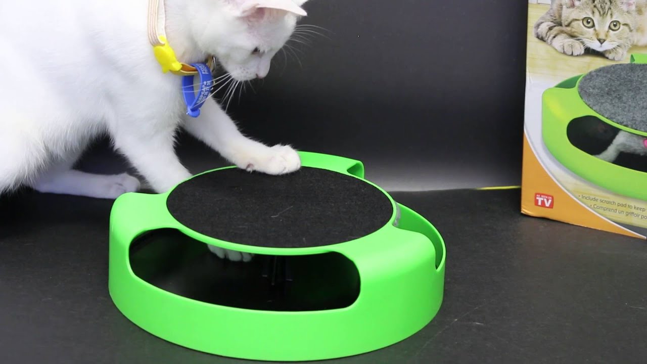 Cat Toy Catch the Mouse