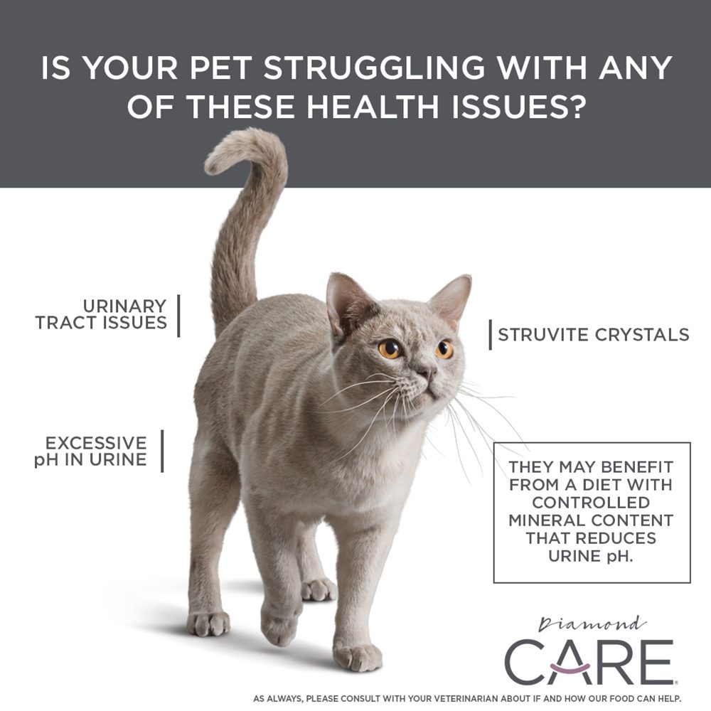 DIAMOND CARE URINARY SUPPORT FORMULA FOR ADULT CATS