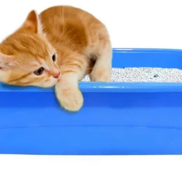 Litter Tray For All Life Stage Cats (RP) Large Size