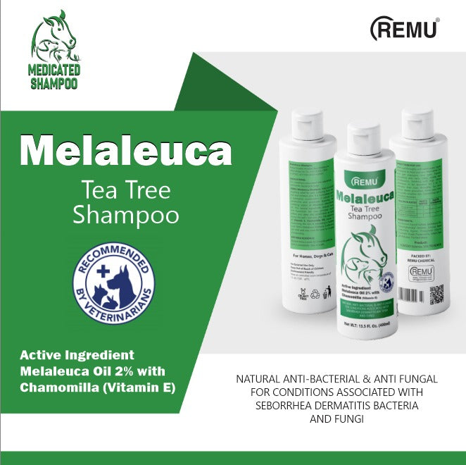 Remu Medicated Shampoo Melaleuca