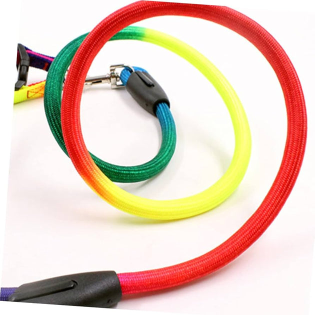 Puppy Leash Multi Color