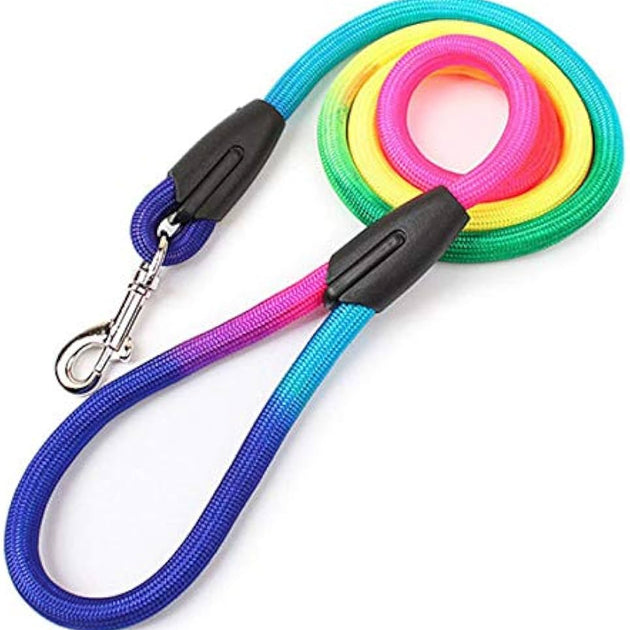 Puppy Leash Multi Color