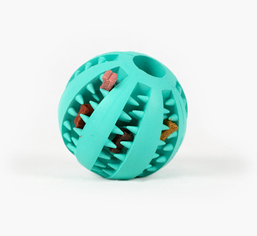 Dog Toy Treat Ball (AB321)