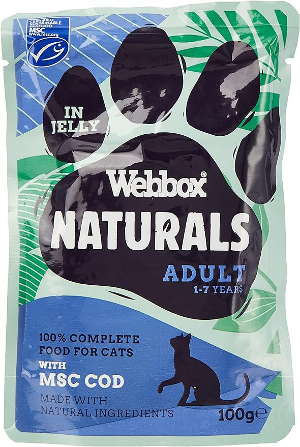 Webbox Cat Jelly Adult